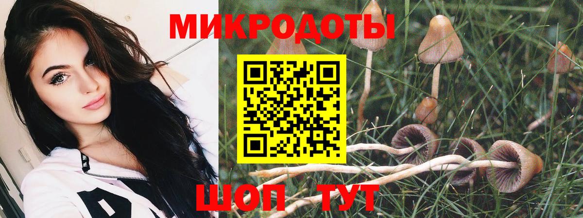 Галлюциногенные грибы прущие грибы  Вход с VPN  Елизово  Псилоцибиновые грибы прущие грибы 