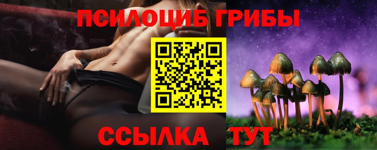 Псилоцибиновые грибы MAGIC MUSHROOMS Елизово
