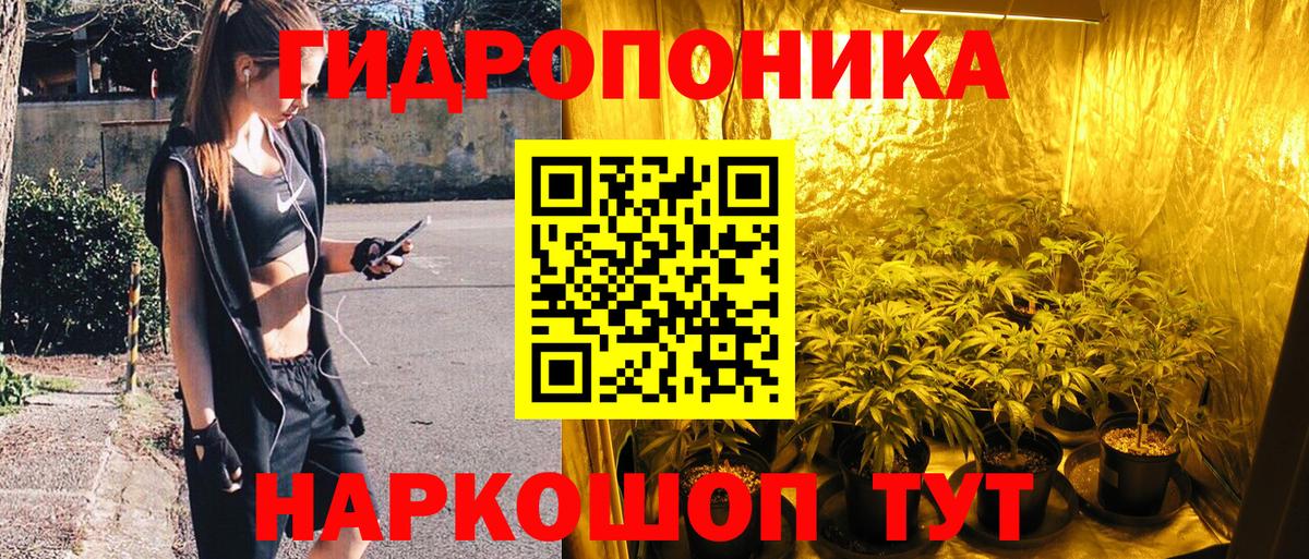Бошки Шишки сатива Елизово